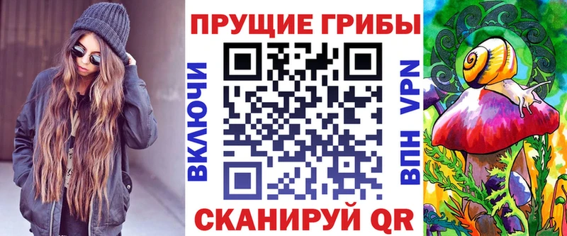 Галлюциногенные грибы Psilocybe  блэк спрут сайт  Заинск 