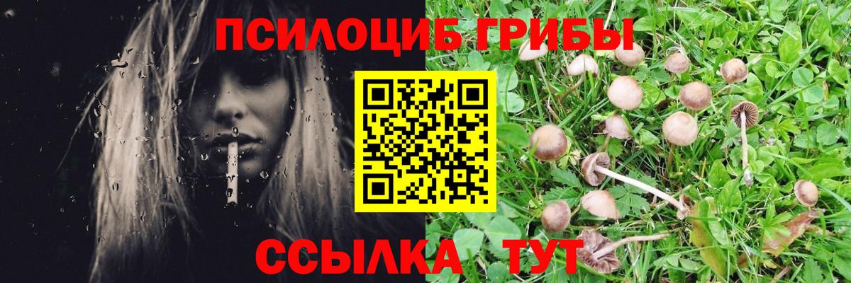 Заинск  ГАШИШ  Вход с VPN  Меф МЯУ МЯУ кристаллы  КЕТАМИН  ТГК 