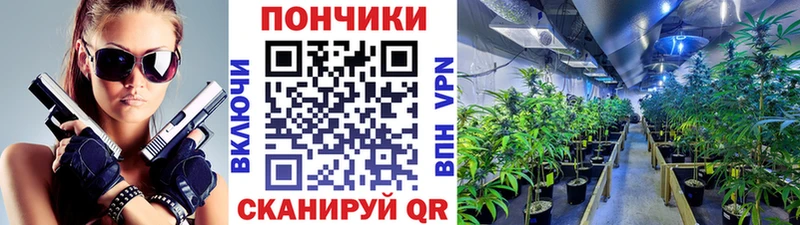 дарк нет формула  Заинск  Бошки Шишки OG Kush 
